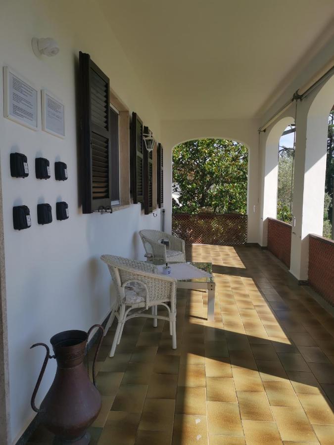Villa Flora Affittacamere Luni Extérieur photo